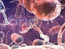 Virus Batteriofagi stroncare batteri attaccano piante
