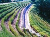 Alluvioni: proposta all’assessore Maninchedda