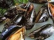 Mitili molluschi, consigli casalinghi Varie
