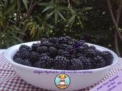 More proprietà ricette