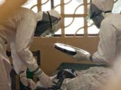 Ebola: morto missionario spagnolo. numero delle vittime sale mille