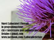 Nuovi Laboratori Floreali