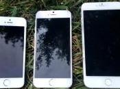 Nuove foto componenti iPhone svelati altri dettagli