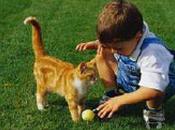 Cani Gatti? Niente allergie.