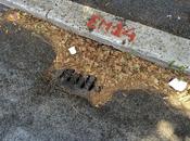 Arriverà presto prima pioggia autunnale. città paralizzerà. sappiamo dimostriamo