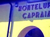 Dalle foglie lunghe, montelupo vede capraia, danni n'aringa Parole verbi disuso