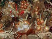 apre 34esima edizione della festa cipolla cannara