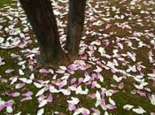 Settembre