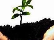 Alcuni suggerimenti partire vincenti