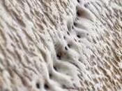 schifo, discorso ritto, disobbligante, spalla tonda, ditate Diavolo Parole verbi disuso