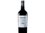 Seligo rosso settesoli sicilia 2013 vincitore della medaglia d’argento gran premio internazionale vino mundus vini 2014