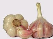 parassitosi, problema sottostimato: parassiti spesso sono presenti, nonostante analisi specifiche risultino negative