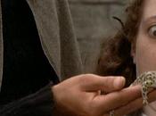 Perchè provocare cosa buona giusta (appunti saggio sulla faziosità)