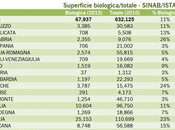 BioTrentino, BioUltimo