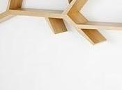 Librerie rampicanti _Branch Olivier Dollé