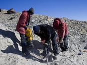 Nuovo dinosauro scoperto Antartide