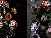 Bouquet come Nature Morte degli Olandesi