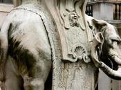 elephant rome