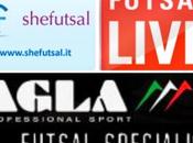 AGLA Futsal Awards: vota migliori giocatrici futsal femminile 2013-2014!