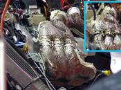 L’isolante sugli scarichi Ferrari, coibentazione aeronautica