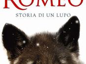 nuova uscita Piemme: Romeo