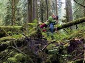 Brinsonbansking: l’amore un’esplorazione