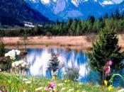 step servono mezze stagioni?)