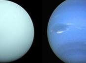 Vogliamo Urano Nettuno