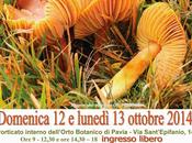 PAVIA. Colori sapori dell’autunno nella Mostra Funghi all’Orto Botanico