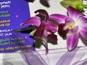 Cena d'autunno Thailandese Positano