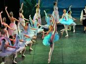 Sinfonia D'Autunno Villa Domi