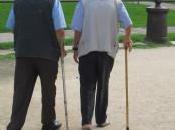 I.N.P.S., sono milioni pensionati vive meno mille euro mese. Poletti: “Per nessun intervento”