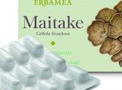 Erbamea: fungo Maitake stanchezza!