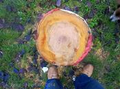 Pollice verde domani edicola