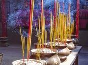 Sandalo Legno della forza psico-fisica