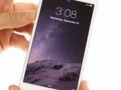 Apple iPhone Plus? Ecco differenze
