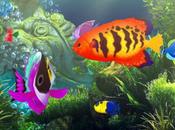 Exotic Aquarium Live Wallpaper splendido acquario animato Android!