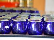 Macerata, corso introduttivo all’assaggio olio