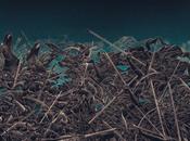 COLD BLUE MOUNTAIN, Blood