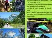 Escursioni alla scoperta delle dolomiti friulane