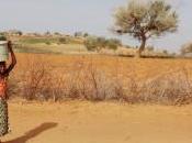 “Land grabbing”, l’Africa preda delle multinazionali anni hanno acquisito ettari