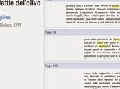 Ricerca bibliografia sulle malattie dell'olivo nella Provincia Lecce