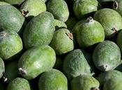 Feijoa proprietà