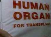 8000 sindaci informati della illegalita’ donazione organi all’anagrafe