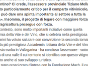 Marzemino ieri, oggi domani