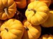Budino zucca ananas