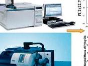 friggere, meglio l'olio oliva: stabile salutare dell'olio semi.