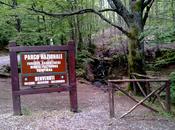 Nuovo Centro visite Parco delle Foreste Casentinesi Londa