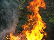 Ecco anche drago fuoco!