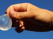 “bottiglia” edibile